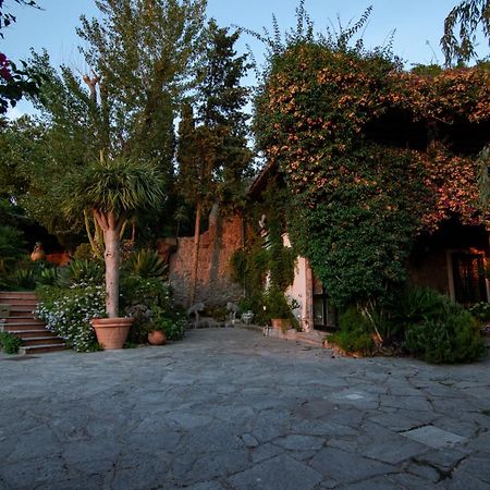 Villa Le Palme Forio  Exterior photo