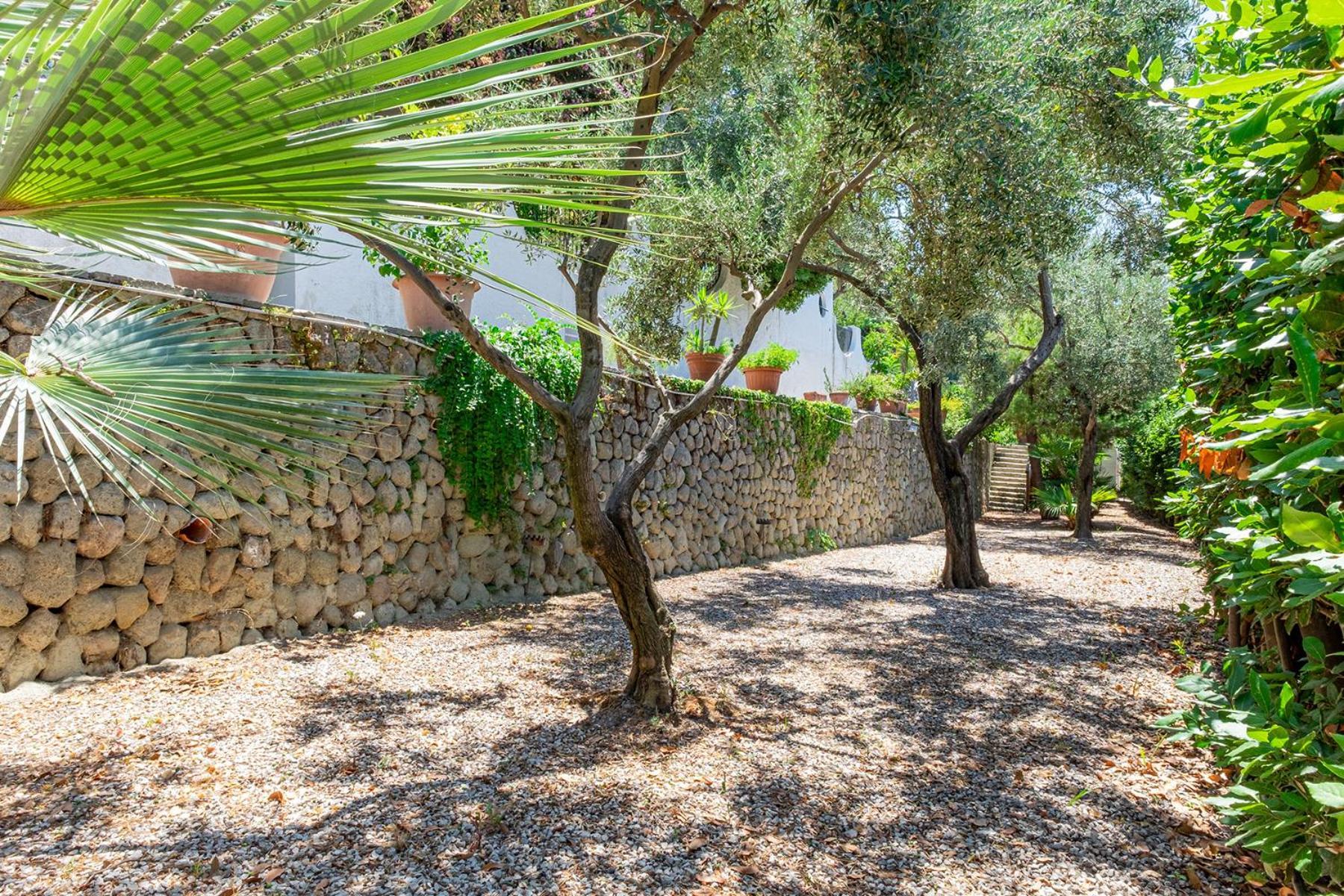 Villa Le Palme Forio  Exterior photo