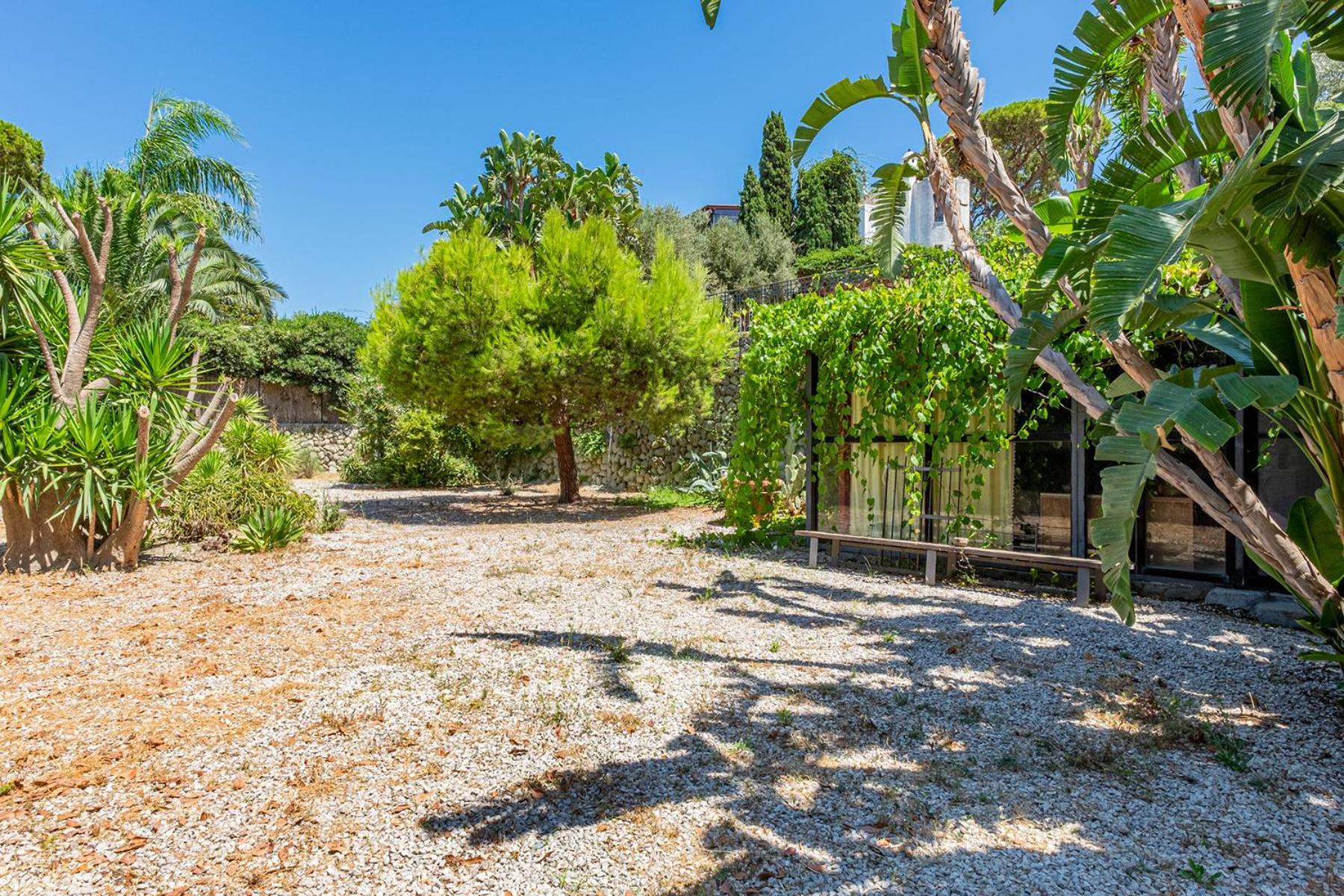 Villa Le Palme Forio  Exterior photo